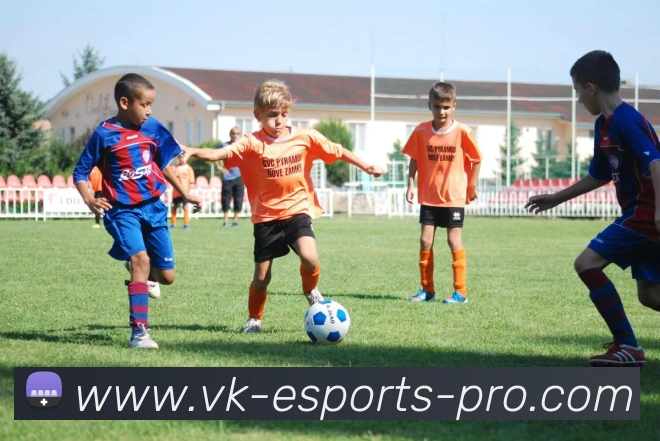 威客电竞平台生态图